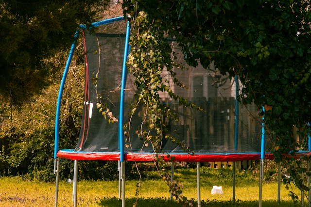 Photograph: guide photo, Unsplash photo 1586206732396-bc9c515536ed