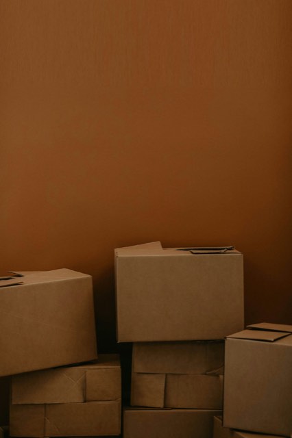 Photograph: international shipping customs guide