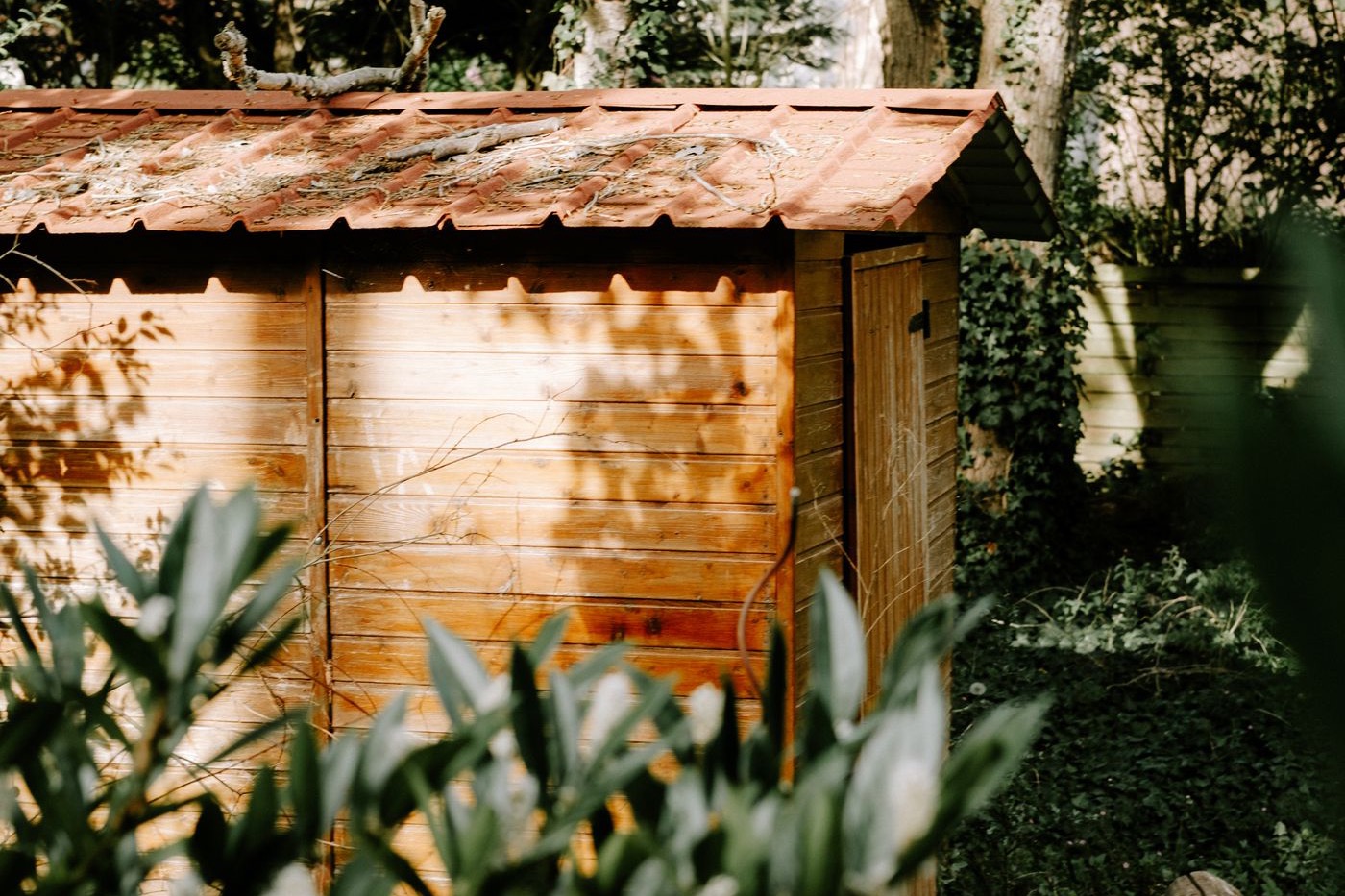 Photograph illustrating: Is Garden Goods Direct Legit? Shipping, Plant Warranty and What to Check Before You Order