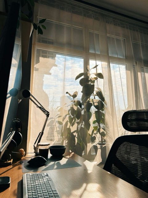 Photograph illustrating: Software Subscriptions: How to Avoid Paying for What You Don't Use